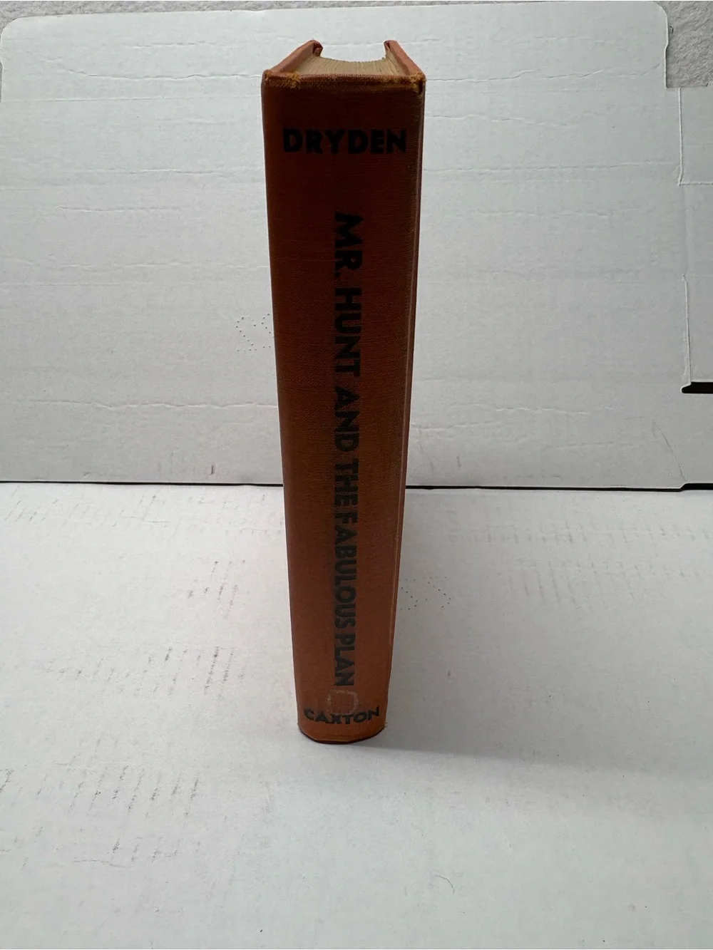 MR. HUNT AND THE FABULOUS PLAN Cecil Dryden /  Beatrice Dreissen illus 1958. 1st